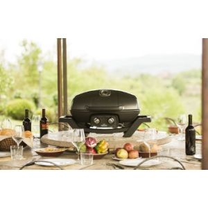 Elektrische barbecues