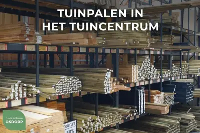 Elephant geschaafde paal Kapur hardhout 70x70mm 4-zijdig V-groeven en gepunt 3,05m - afbeelding 2