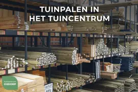 Elephant geschaafde paal Kapur hardhout 70x70mm 4-zijdig V-groeven en gepunt 3,05m - afbeelding 2