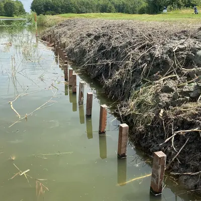 Elephant hardhouten piketpaal punt 150x4x4cm - afbeelding 2