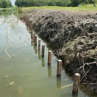 Elephant hardhouten piketpaal punt 150x4x4cm - afbeelding 2