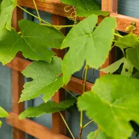 Elephant rechte trellis duurzaam hardhout fsc 550x1800mm met rechte latten rvs geschroefd  - afbeelding 2