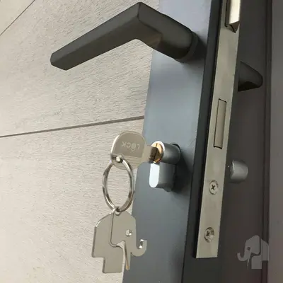 Elephant tuindeur composiet bi-color 4x90x180cm grijs - afbeelding 2