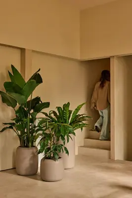 Elho Amber Beads Medium 40 - Beige - L 39 x B  x H 48 cm - Binnen en Buiten - 100% gerecycled - afbeelding 3