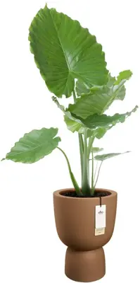 Elho Amber Coupe 35 - Bruin - Ø 35 x H 49 cm - Binnen en Buiten - 100% gerecycled - afbeelding 2