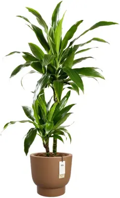 Elho Amber Grail 30 - Bruin - Ø 30 x H 28 cm - Binnen en Buiten - 100% gerecycled - afbeelding 2