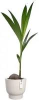 Elho Amber Grail 40 - Wit - Ø 38 x H 36 cm - Binnen en Buiten - 100% gerecycled - afbeelding 2