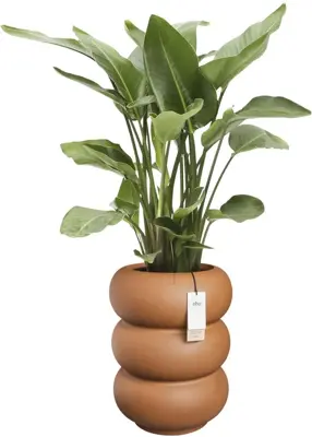 Elho Amber Roll High 43 - Bruin - Ø 43 x H 58 cm - Binnen en Buiten - 100% gerecycled - afbeelding 2