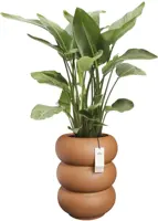 Elho Amber Roll High 43 - Bruin - Ø 43 x H 58 cm - Binnen en Buiten - 100% gerecycled - afbeelding 2