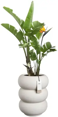 Elho Amber Roll High 43 - Wit - Ø 43 x H 58 cm - Binnen en Buiten - 100% gerecycled - afbeelding 2