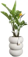 Elho Amber Roll High 43 - Wit - Ø 43 x H 58 cm - Binnen en Buiten - 100% gerecycled - afbeelding 2