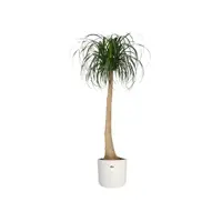 Elho b.for soft bloempot rond 14 cm wit - afbeelding 3