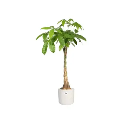 Elho b.for soft bloempot rond 14 cm wit - afbeelding 4