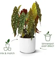 Elho b.for soft bloempot rond 18 cm blad groen - afbeelding 8