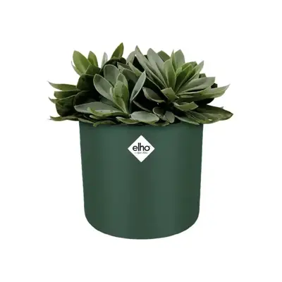 Elho b.for soft bloempot rond 18 cm blad groen - afbeelding 3