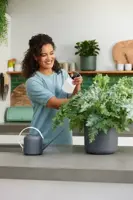 Elho b.for soft gieter 1,7 liter antraciet - afbeelding 7