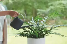 Elho b.for soft gieter 1,7 liter antraciet - afbeelding 5