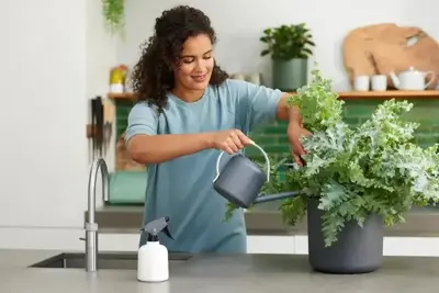Elho b.for soft gieter 1,7 liter antraciet - afbeelding 6