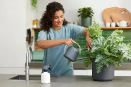Elho b.for soft gieter 1,7 liter antraciet - afbeelding 6