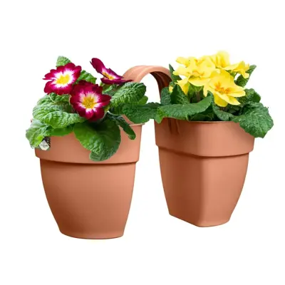 Elho balkonbak Vibia Campana flower twin 21cm terra - afbeelding 3