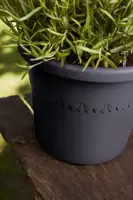 Elho bloempot Algarve Cilindro 25cm antraciet - afbeelding 6