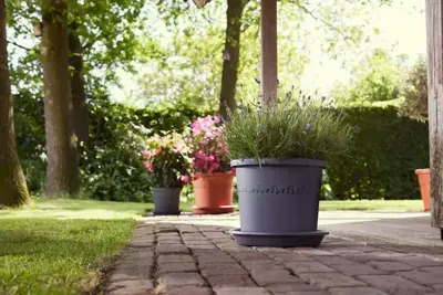 Elho bloempot Algarve Cilindro 25cm antraciet - afbeelding 7