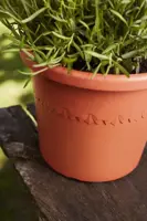 Elho bloempot Algarve Cilindro 25cm terra - afbeelding 6