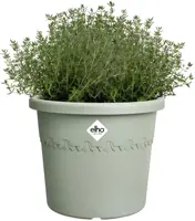 Elho bloempot Algarve Cilindro 25cm tijmgroen - afbeelding 4