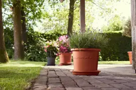 Elho bloempot Algarve Cilindro 30cm terra - afbeelding 6