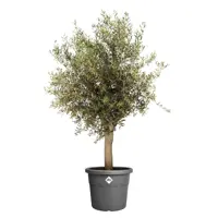 Elho bloempot Algarve Cilindro 40cm antraciet - afbeelding 2