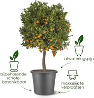 Elho bloempot Algarve Cilindro 40cm terra - afbeelding 3