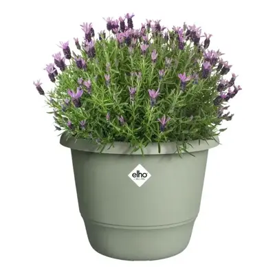 Elho bloempot Amiga 25cm tijmgroen - afbeelding 4