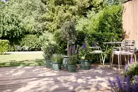 Elho bloempot Amiga rond 30cm tijmgroen - afbeelding 9