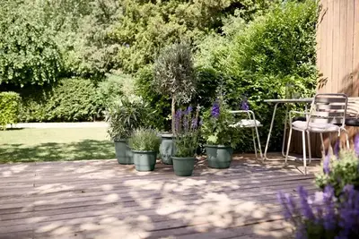 Elho bloempot Amiga rond 30cm tijmgroen - afbeelding 10