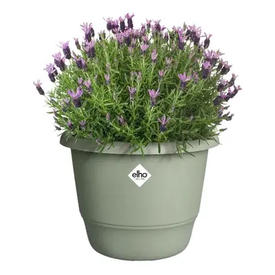 Elho bloempot Amiga rond 30cm tijmgroen - afbeelding 4