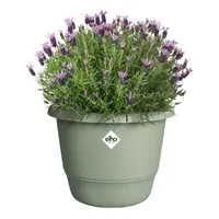 Elho bloempot Amiga rond 30cm tijmgroen - afbeelding 4