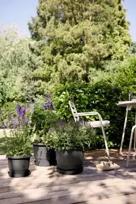 elho bloempot amiga rond d40 h29cm Antraciet - afbeelding 6