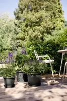 elho bloempot amiga rond d40 h29cm Antraciet - afbeelding 6