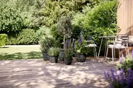 elho bloempot amiga rond d40 h29cm Antraciet - afbeelding 7