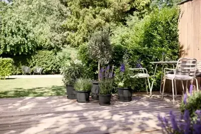 elho bloempot amiga rond d40 h29cm Antraciet - afbeelding 8