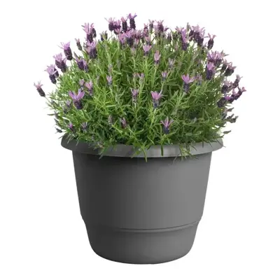 elho bloempot amiga rond d40 h29cm Antraciet - afbeelding 4