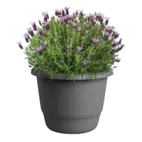 elho bloempot amiga rond d40 h29cm Antraciet - afbeelding 4