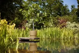Elho bloempot Greenville 47cm Goudkleurig Zand - afbeelding 6