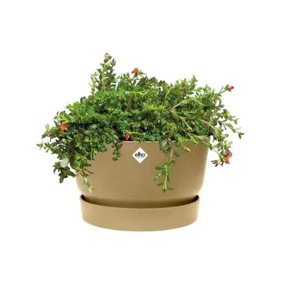 Elho bloempot Greenville Bowl 33cm Goudkleurig Zand - afbeelding 4