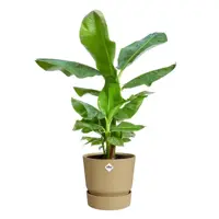 Elho Bloempot Greenville Rond 40cm Goudkleurig Zand - afbeelding 4