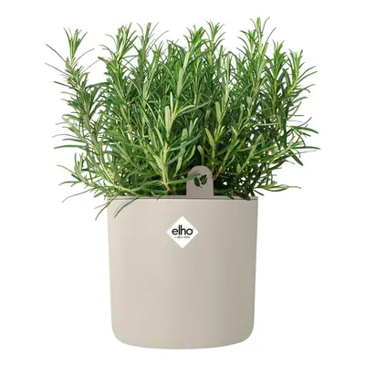 elho bloempot happy herbs d14 h17cm Linnen wit - afbeelding 4