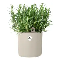 elho bloempot happy herbs d14 h17cm Linnen wit - afbeelding 4