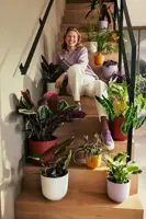 Elho bloempot Jazz rond 16 cm amber geel - afbeelding 8