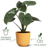 Elho bloempot Jazz rond 16 cm amber geel - afbeelding 9