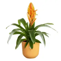 Elho bloempot Jazz rond 16 cm amber geel - afbeelding 4